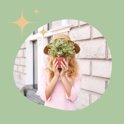 Beautiful Demo Images 2